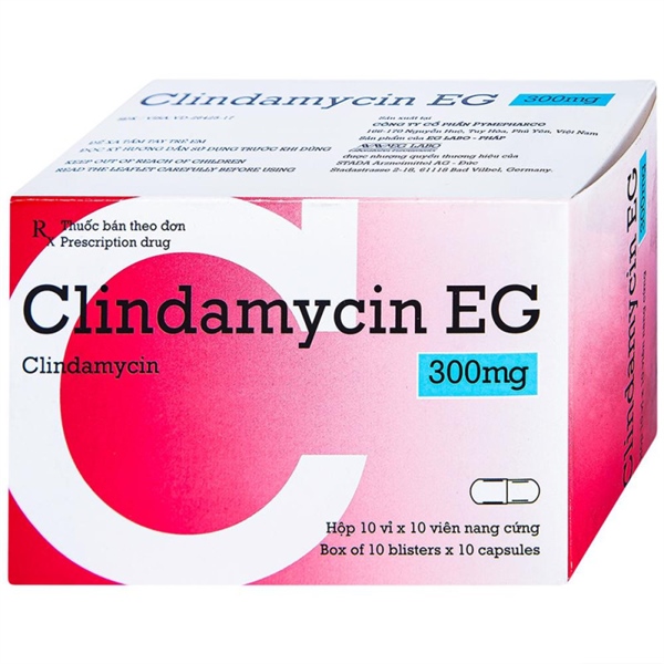 Clindamycin 300mg eg pymepharco (h/100v)