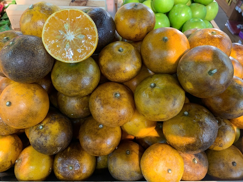 Quýt sim Cao Bằng - Tangerine