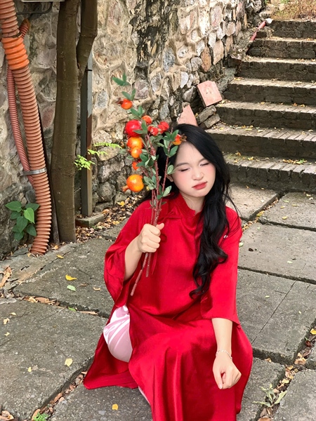 Set áo dài cách tân nữ vải lụa thắt nơ cúc bọc