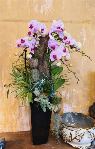 HL026 - 4 Cành (Trang trí lũa)