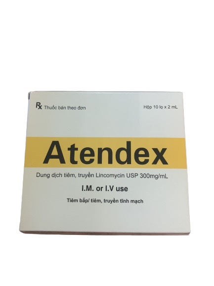 Atendex lincomycin 300mg/ml makcur (h/10c/2ml)