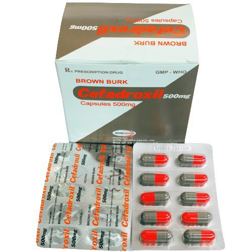 Brown Burk cefadroxil 500mg nutripharma (h/100v)