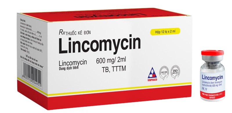 Lincomycin 600mg/2ml vinphaco (h/12c/2ml)