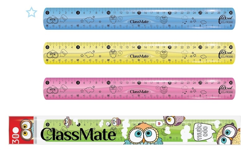 Thước kẻ dẻo 30CM Class mate FR300