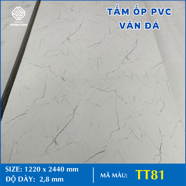 TẤM NHỰA VÂN ĐÁ - 81