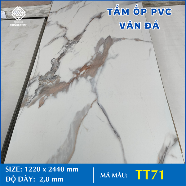 TẤM NHỰA VÂN ĐÁ - 71