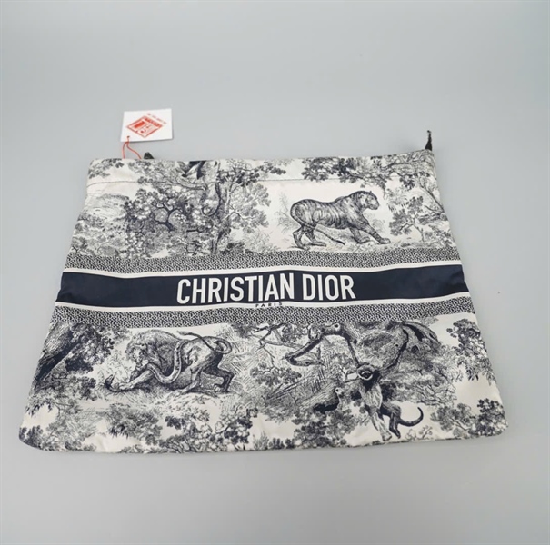 Túi Dior Clutch vải trắng in hình (33-MA-0231) sz28 KG+