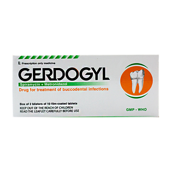 Gerdogyl nghệ an (h/20v)