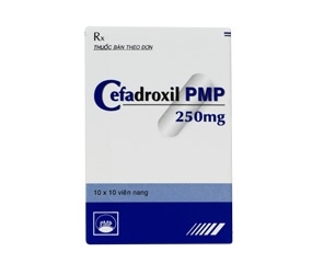 Cefadroxil 250mg pymepharco (h/100v)