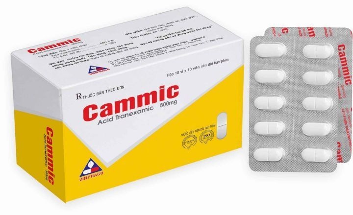 Cammic 500mg vinphaco (h/100v)