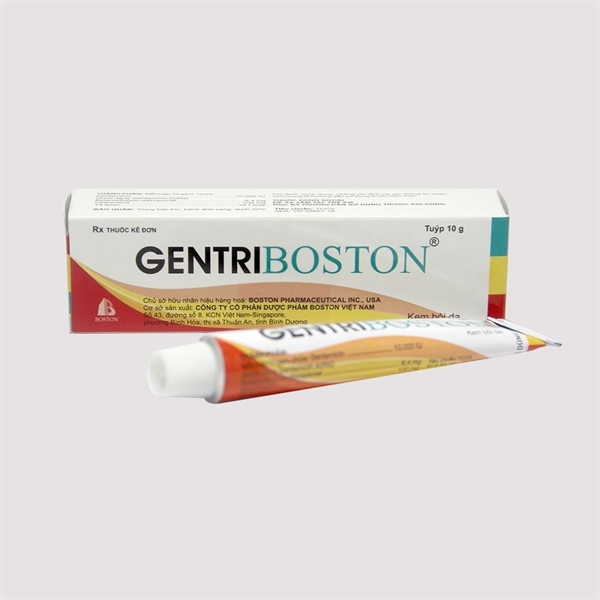 Gentriboston cream boston (tube/10gr)