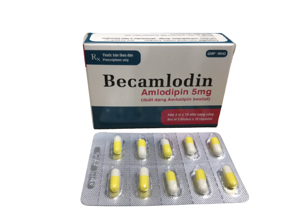 Becamlodin amlodipin 5mg enlie (hộp/30 viên nang)