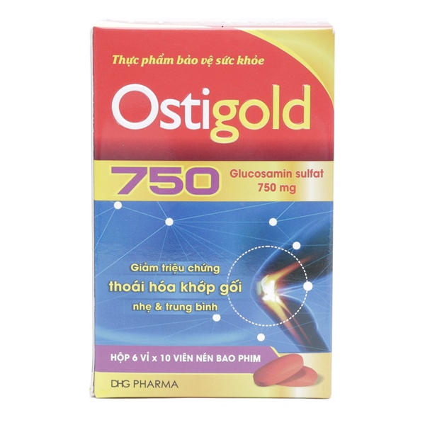 Ostigold glucosamin sulfat 750mg dhg (h/60v)