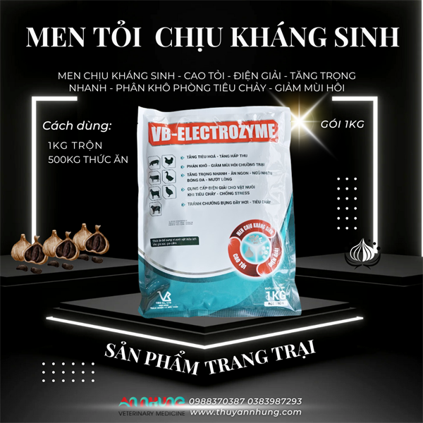 VB ELECTROZYM 1kg - Men tiêu hóa sống trộn