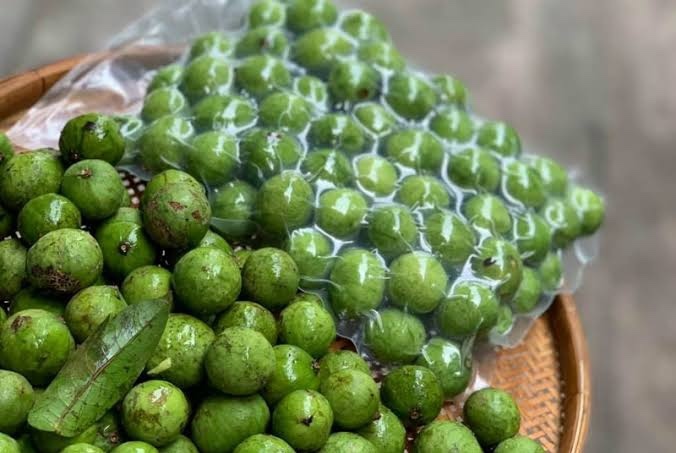 QUẢ SẤU/冷凍イボモモ