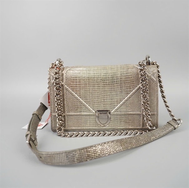 Túi Dior Woc màu bạc sz21 (BQ) KG+