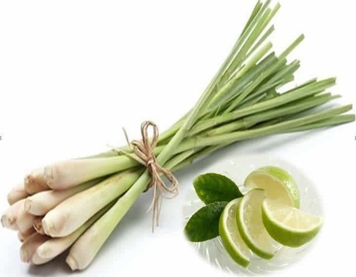 Sả Tươi /レーモングラス