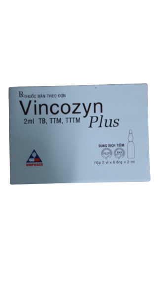 Vincozyn plus vinphaco (h/12o/2ml)
