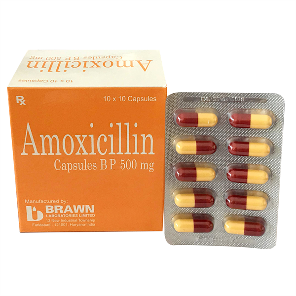 Amoxicillin 500 brawn (h/100v)