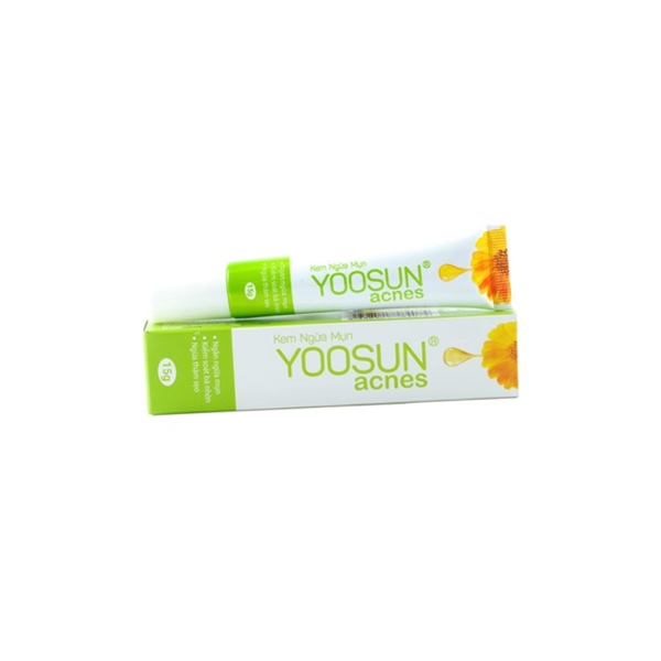 Kem ngừa mụn yoosun acnes đại bắc (t/15gr) (trắng)