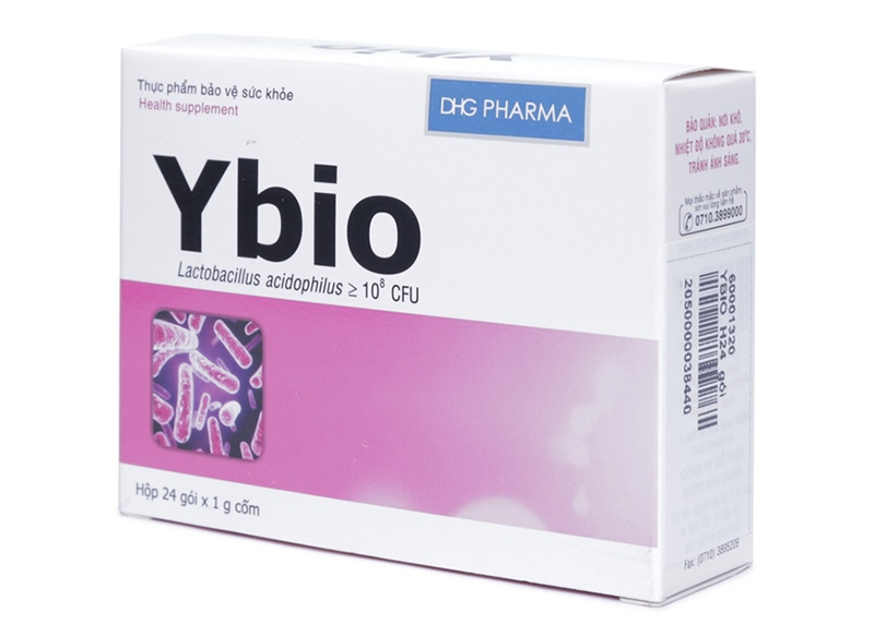 Ybio dhg pharma (h/24gói)