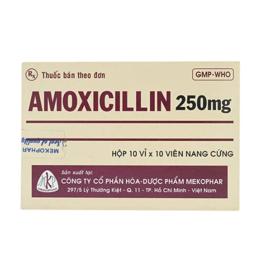 Amoxicillin 250mg mekophar (h/100v)