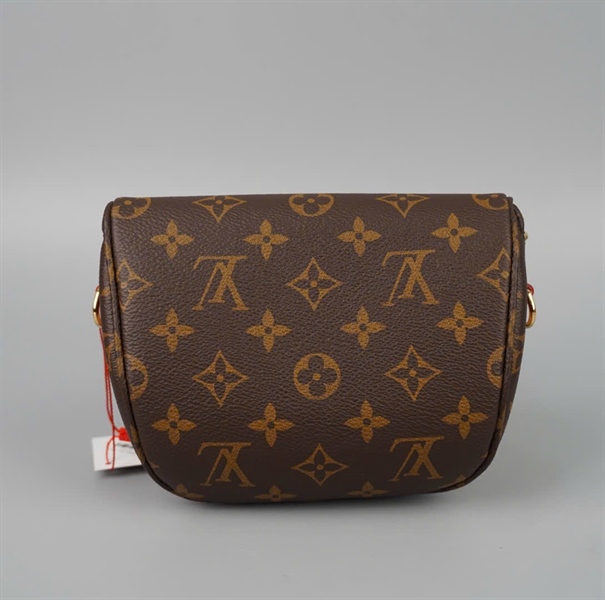 Túi LV bumbag hoa nâu 2 strap sz20 KG+