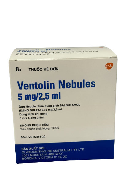 (date tháng 7.2025) Ventolin nebules 5.0mg gsk (h/6v/5o)