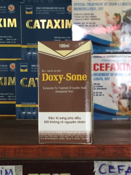 Doxysone 100ML-ASTA sưng phù đầu, sốt