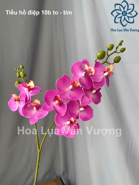 Tiểu hồ điệp 10b to - tím - Hồ điệp, lan - Hoa Lụa Vân Vượng