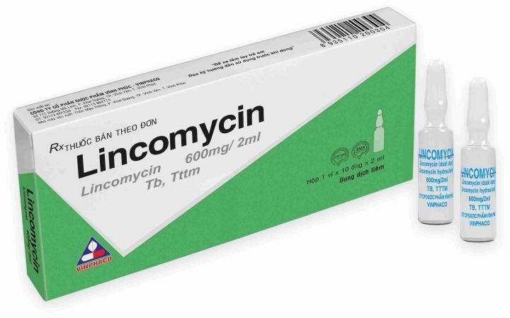 Lincomycin 600mg/2ml vinphaco (h/10o/2ml)
