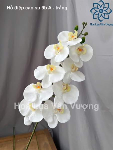 Hồ điệp cao su 9b A - Trắng - Hồ điệp, lan - Hoa Lụa Vân Vượng