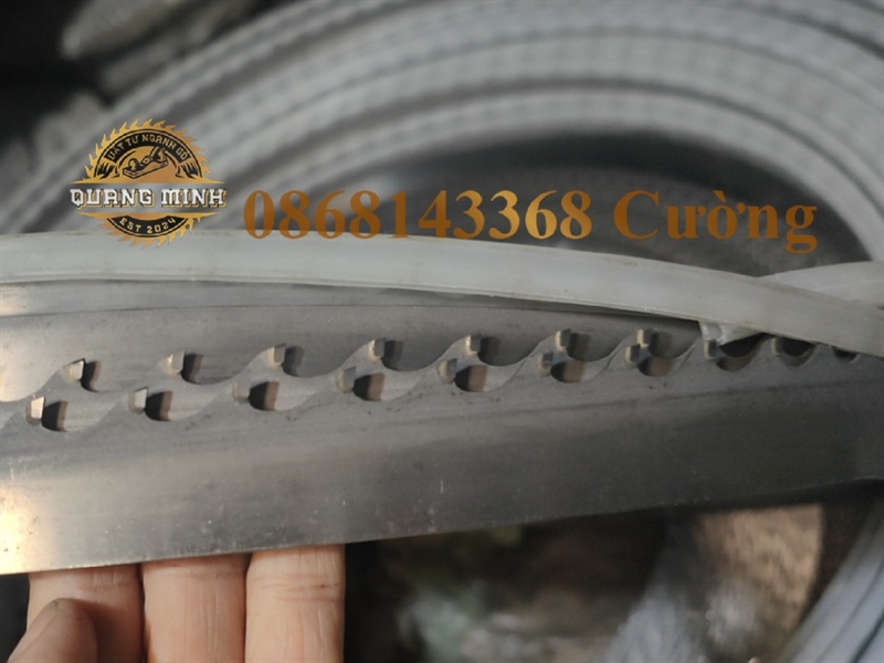 Lưỡi cưa lọng 5230*30mm (TQ)