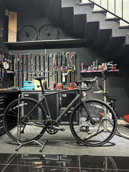 TREK DOMANE AL 2, GRY, 56 [24]