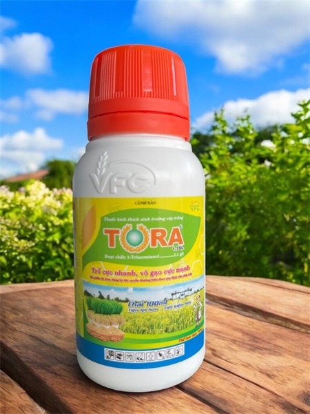 TORA 1.1SL