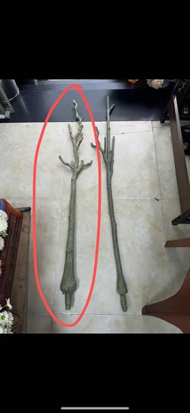 Thân cây 1,4m - Cây - Hoa Lụa Vân Vượng