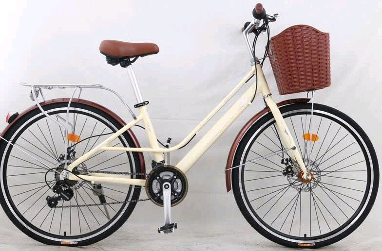 Xe đạp nữ Mingdi có đề