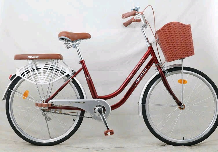 Xe đạp nữ Mingdi