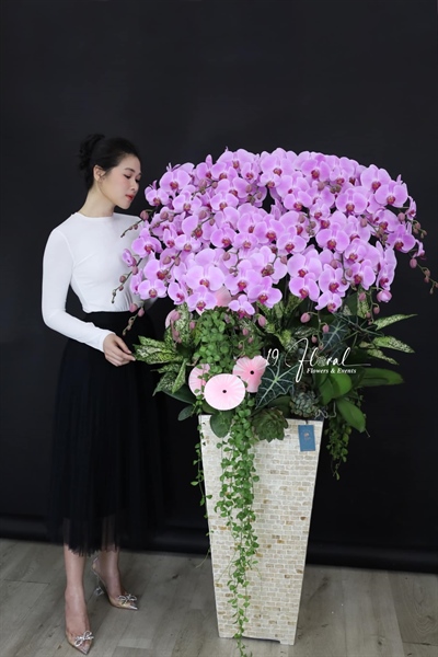 CHẬU LAN 20 CÀNH HỒNG , CHẬU KHẢM TRAI CAO CẤP