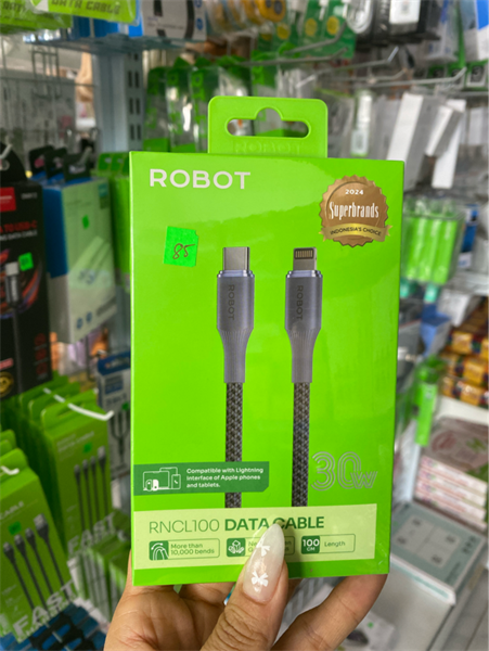 CÁP SẠC ROBOT 30W RNCL100