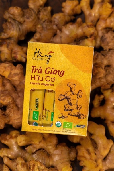 Organic Ginger Tea by Hang (20 packs - 5g)