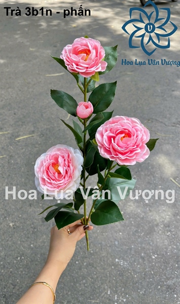 Trà 3b1n - Phấn - Hoa cành dài - Hoa Lụa Vân Vượng