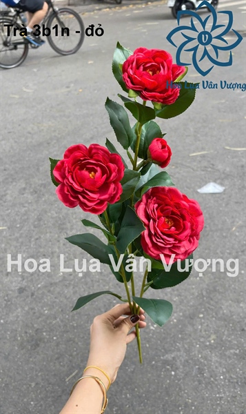 Trà 3b1n - Đỏ - Hoa cành dài - Hoa Lụa Vân Vượng