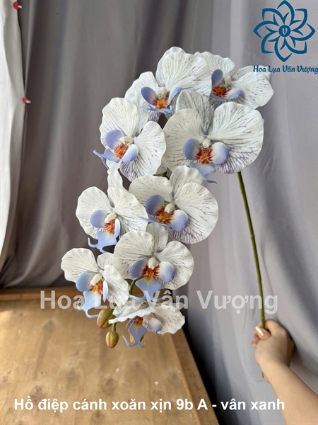 Hồ điệp cánh xoăn xịn 9b A - Vân xanh - Hồ điệp, lan - Hoa Lụa Vân Vượng
