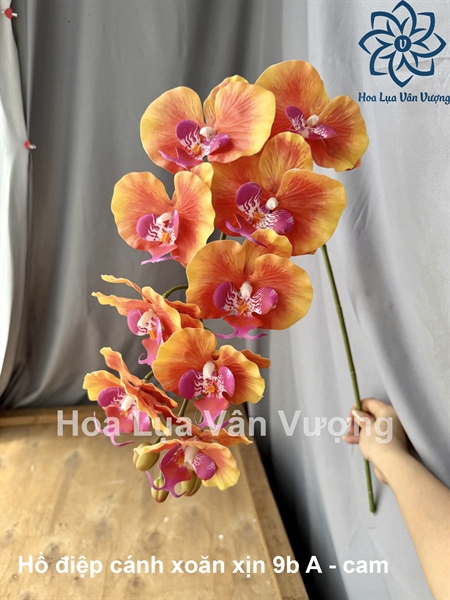 Hồ điệp cánh xoăn xịn 9b A - Cam - Hồ điệp, lan - Hoa Lụa Vân Vượng