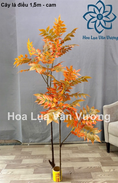 Cây lá điều 1,5m - Cam - Cây - Hoa Lụa Vân Vượng