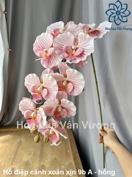 Hồ điệp cánh xoăn xịn 9b A - Vân hồng - Hồ điệp, lan - Hoa Lụa Vân Vượng