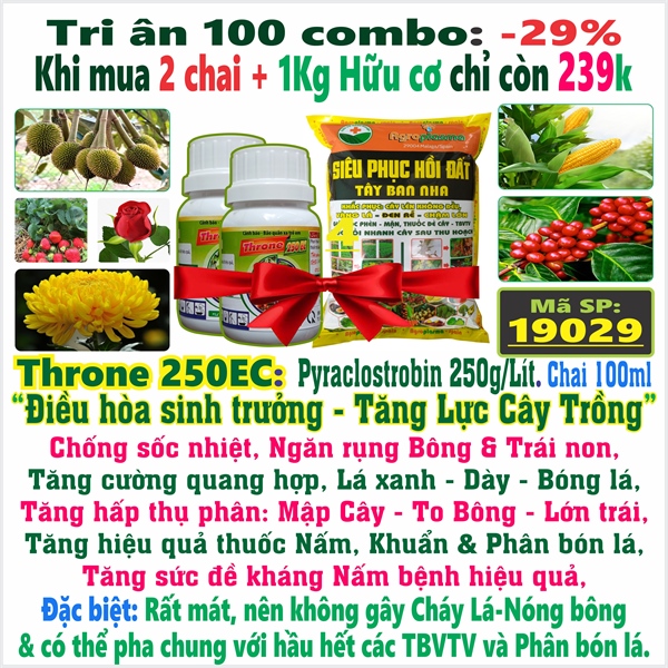 Combo 2 chai Throne 100ml + 1kg Phục Hồi Đất Hữu cơ