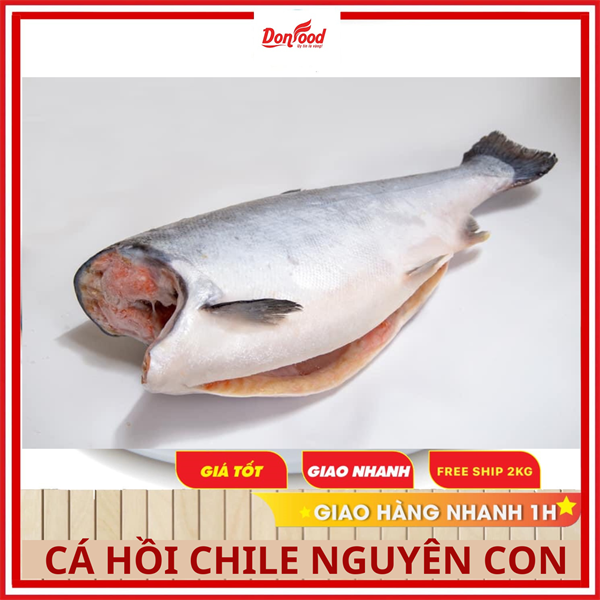 Cá hồi Nauy/ Chile nguyên con ĐL