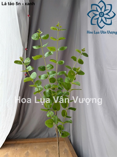 Lá táo 5n - Lá cành dài - Hoa Lụa Vân Vượng